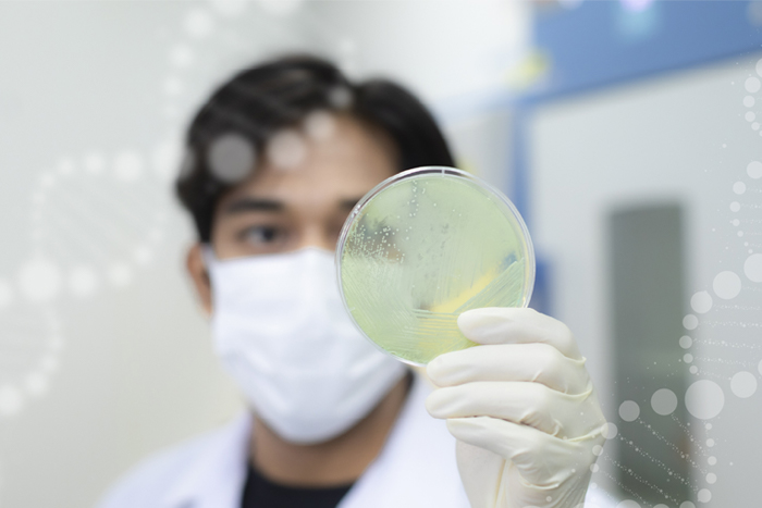 Cosmetic Biotechnology Research